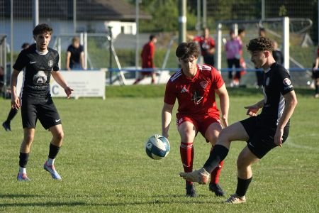 trillhoff-cup 26_ 50 neu